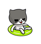 無口な猫。（個別スタンプ：34）
