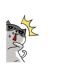 無口な猫。（個別スタンプ：37）