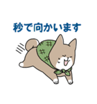 猫推しの柴犬（個別スタンプ：4）