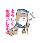 猫推しの柴犬（個別スタンプ：7）