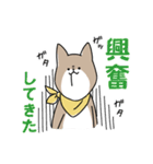 猫推しの柴犬（個別スタンプ：21）