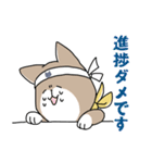 猫推しの柴犬（個別スタンプ：22）