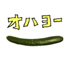 きゅうり 一本 と 手書き文字（個別スタンプ：3）