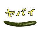 きゅうり 一本 と 手書き文字（個別スタンプ：24）