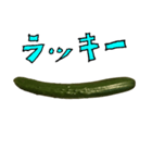 きゅうり 一本 と 手書き文字（個別スタンプ：28）