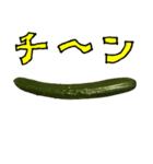 きゅうり 一本 と 手書き文字（個別スタンプ：33）