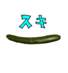 きゅうり 一本 と 手書き文字（個別スタンプ：40）