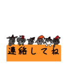 黒しゅなオリーブ6レンジャー6(秋)（個別スタンプ：10）