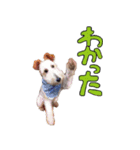 おふざけジニー（個別スタンプ：6）