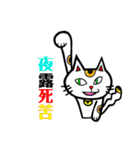 明るい時の目のネコ（個別スタンプ：3）