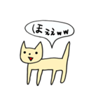わろてるねこちゃん（個別スタンプ：1）