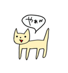 わろてるねこちゃん（個別スタンプ：22）