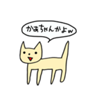 わろてるねこちゃん（個別スタンプ：26）
