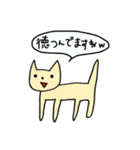 わろてるねこちゃん（個別スタンプ：28）