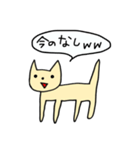 わろてるねこちゃん（個別スタンプ：29）
