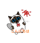ラテさんとクーさん 1（個別スタンプ：7）