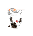 ラテさんとクーさん 1（個別スタンプ：13）