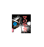 ラテさんとクーさん 1（個別スタンプ：35）