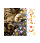 こたこじ日和。（個別スタンプ：5）