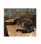 こたこじ日和。（個別スタンプ：8）