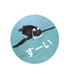 動物園のスタンプ_KenA（個別スタンプ：6）