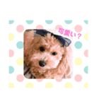 (*ˊ˘ˋ*)coco（個別スタンプ：4）