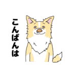 ゆるーいボーダーコリーのスタンプ 2（個別スタンプ：4）
