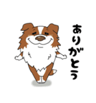 ゆるーいボーダーコリーのスタンプ 2（個別スタンプ：6）