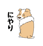 ゆるーいボーダーコリーのスタンプ 2（個別スタンプ：12）