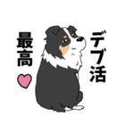 ゆるーいボーダーコリーのスタンプ 2（個別スタンプ：16）