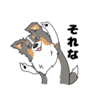 ゆるーいボーダーコリーのスタンプ 2（個別スタンプ：20）