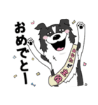 ゆるーいボーダーコリーのスタンプ 2（個別スタンプ：21）