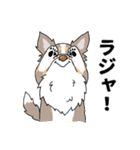 ゆるーいボーダーコリーのスタンプ 2（個別スタンプ：30）