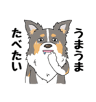 ゆるーいボーダーコリーのスタンプ 2（個別スタンプ：31）