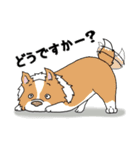 ゆるーいボーダーコリーのスタンプ 2（個別スタンプ：32）