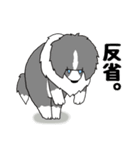 ゆるーいボーダーコリーのスタンプ 2（個別スタンプ：36）