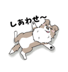 ゆるーいボーダーコリーのスタンプ 2（個別スタンプ：38）
