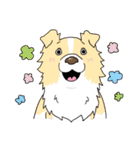 ゆるーいボーダーコリーのスタンプ 2（個別スタンプ：39）
