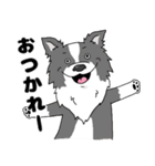 ゆるーいボーダーコリーのスタンプ 2（個別スタンプ：40）