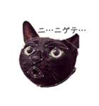 黒猫 KEYちゃん2（個別スタンプ：1）