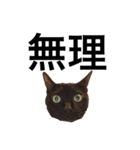 黒猫 KEYちゃん2（個別スタンプ：4）