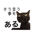 黒猫 KEYちゃん2（個別スタンプ：5）