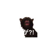 黒猫 KEYちゃん2（個別スタンプ：7）
