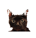 黒猫 KEYちゃん2（個別スタンプ：8）