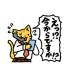 【猫】ネコ向けスタンプ【ねこ】（個別スタンプ：3）