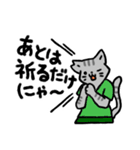 【猫】ネコ向けスタンプ【ねこ】（個別スタンプ：29）