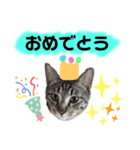 まつりちゃん用（個別スタンプ：8）