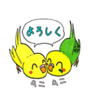 インコのレモン♡ライム（個別スタンプ：4）