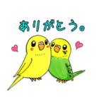 インコのレモン♡ライム（個別スタンプ：5）