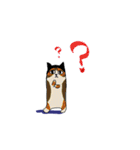 にわか猫（個別スタンプ：3）